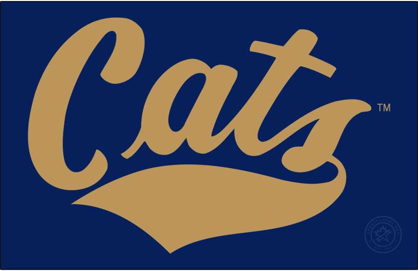 Montana State Bobcats 2017-Pres Wordmark Logo iron on transfers for T-shirts